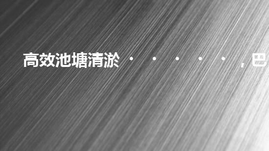 高效池塘清淤，巴洛仕設(shè)備助您一臂之力